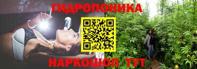 амф Котовск