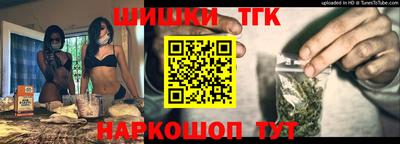 крисы Аргун